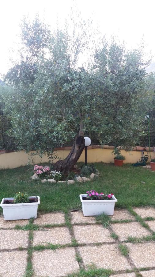 Alloggio Turistico L'Ulivo Monte San Biagio Bagian luar foto