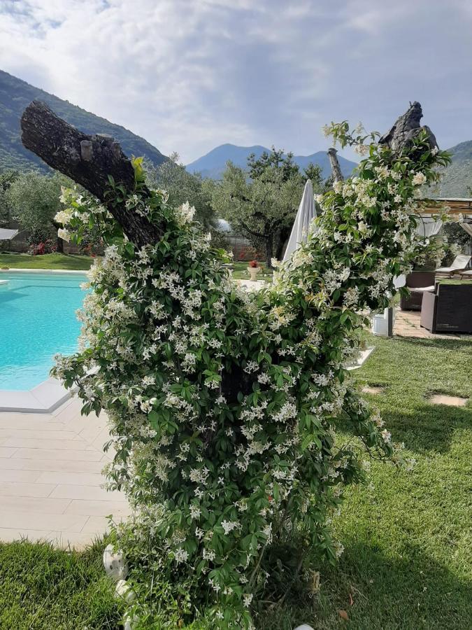 Alloggio Turistico L'Ulivo Monte San Biagio Bagian luar foto