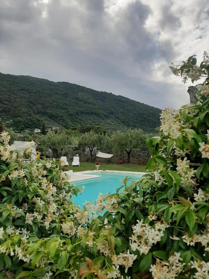 Alloggio Turistico L'Ulivo Monte San Biagio Bagian luar foto