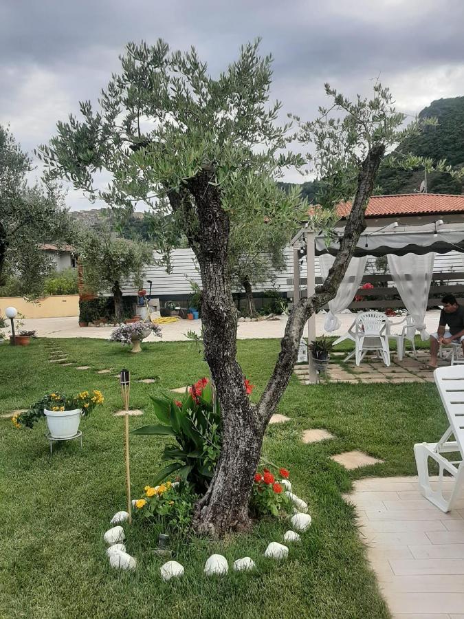 Alloggio Turistico L'Ulivo Monte San Biagio Bagian luar foto